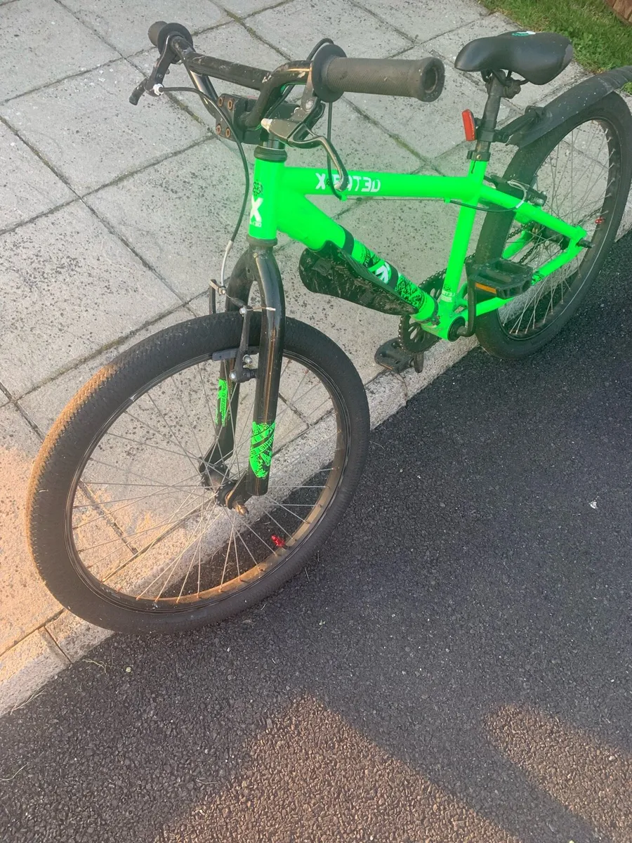 Bike’s no 2 - Image 4