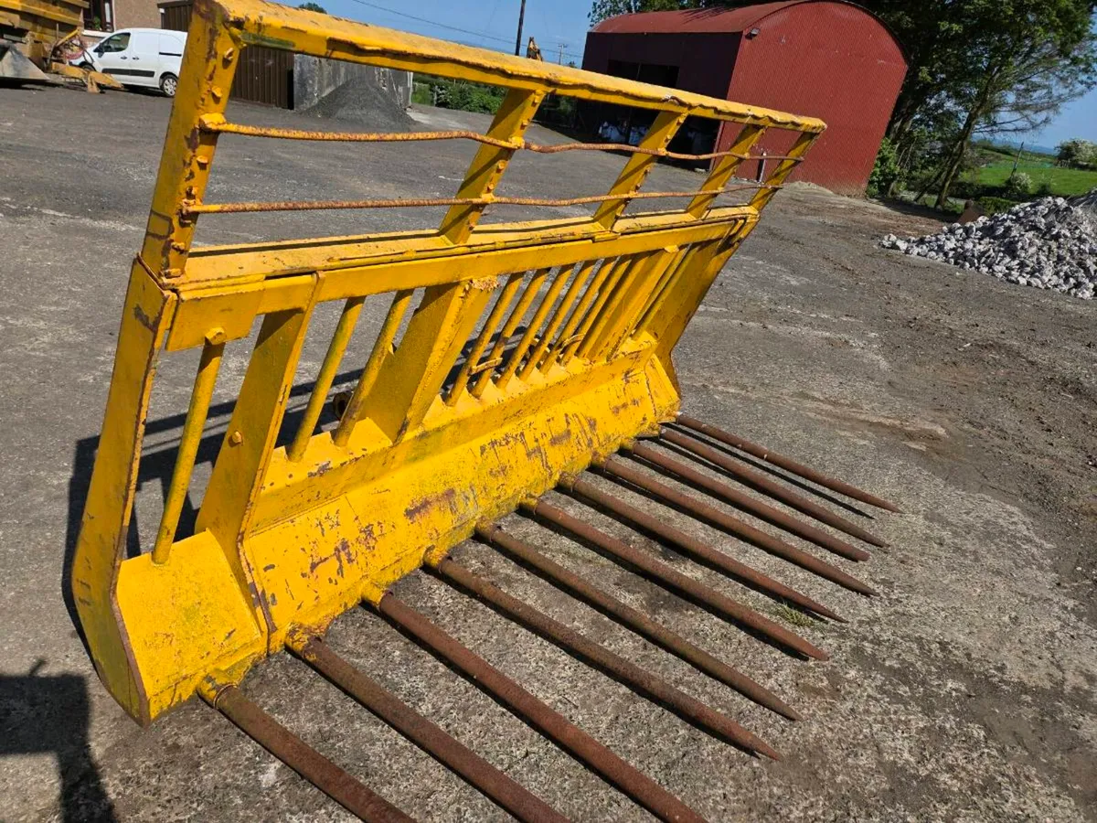 Buckrake - Image 2