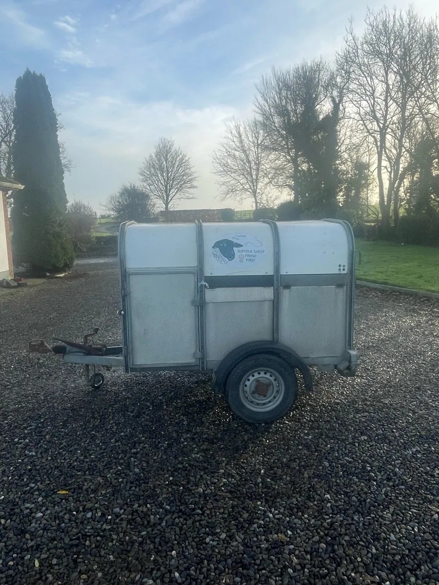Ivor Williams livestock trailer - Image 3
