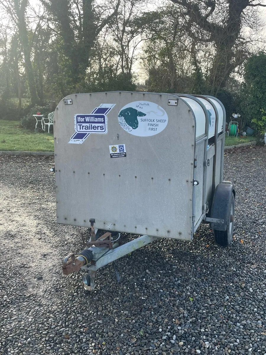 Ivor Williams livestock trailer - Image 4