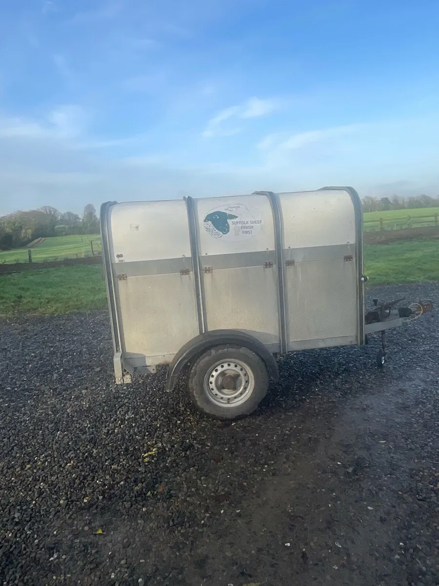 Ivor Williams livestock trailer - Image 2