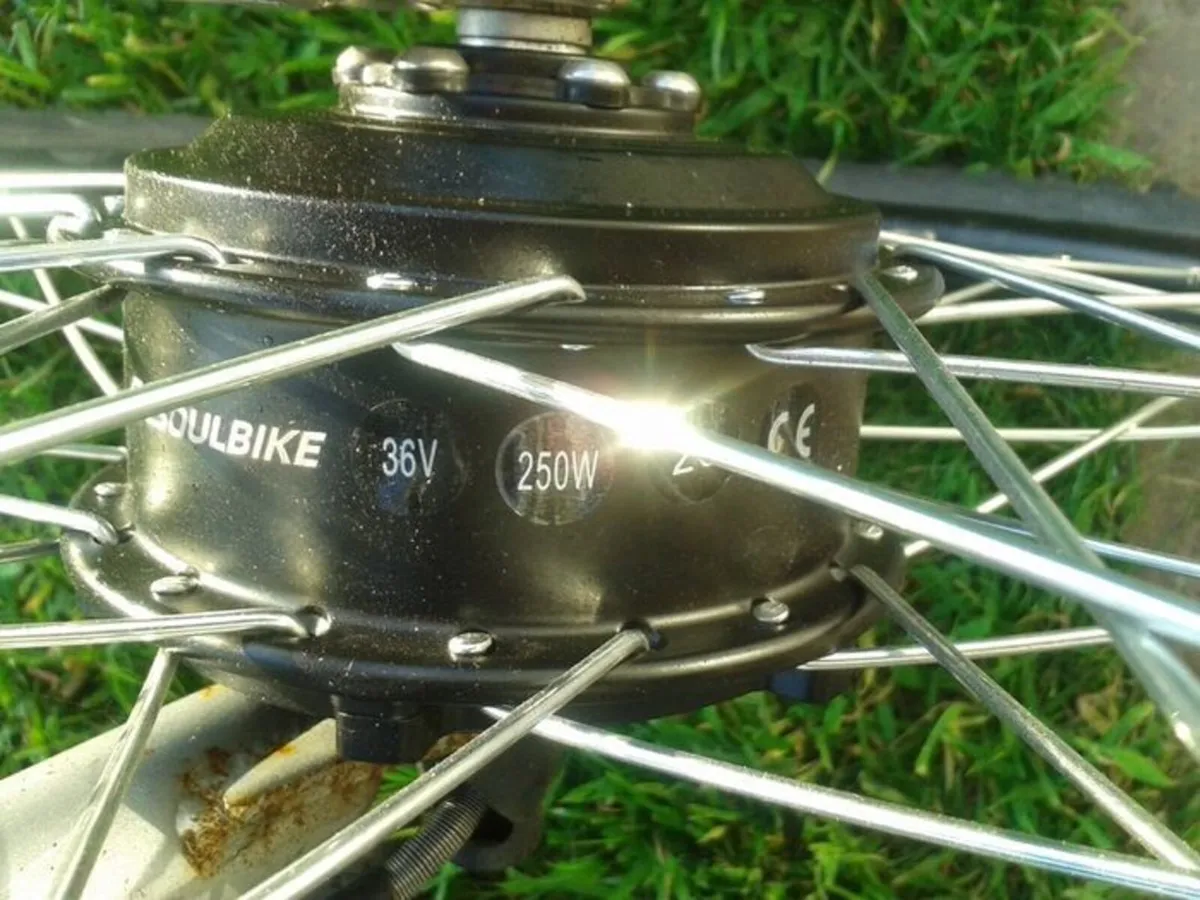 Electric Bike - Image 3