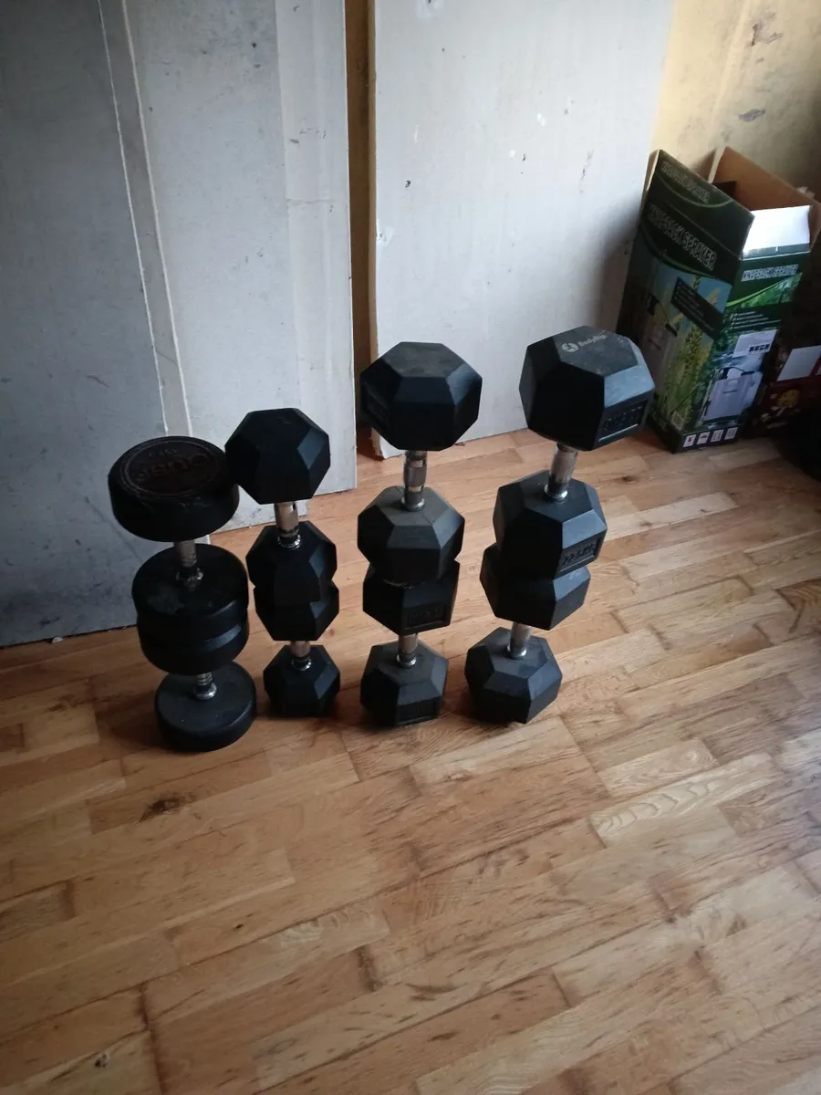 Dumbbells - Image 1