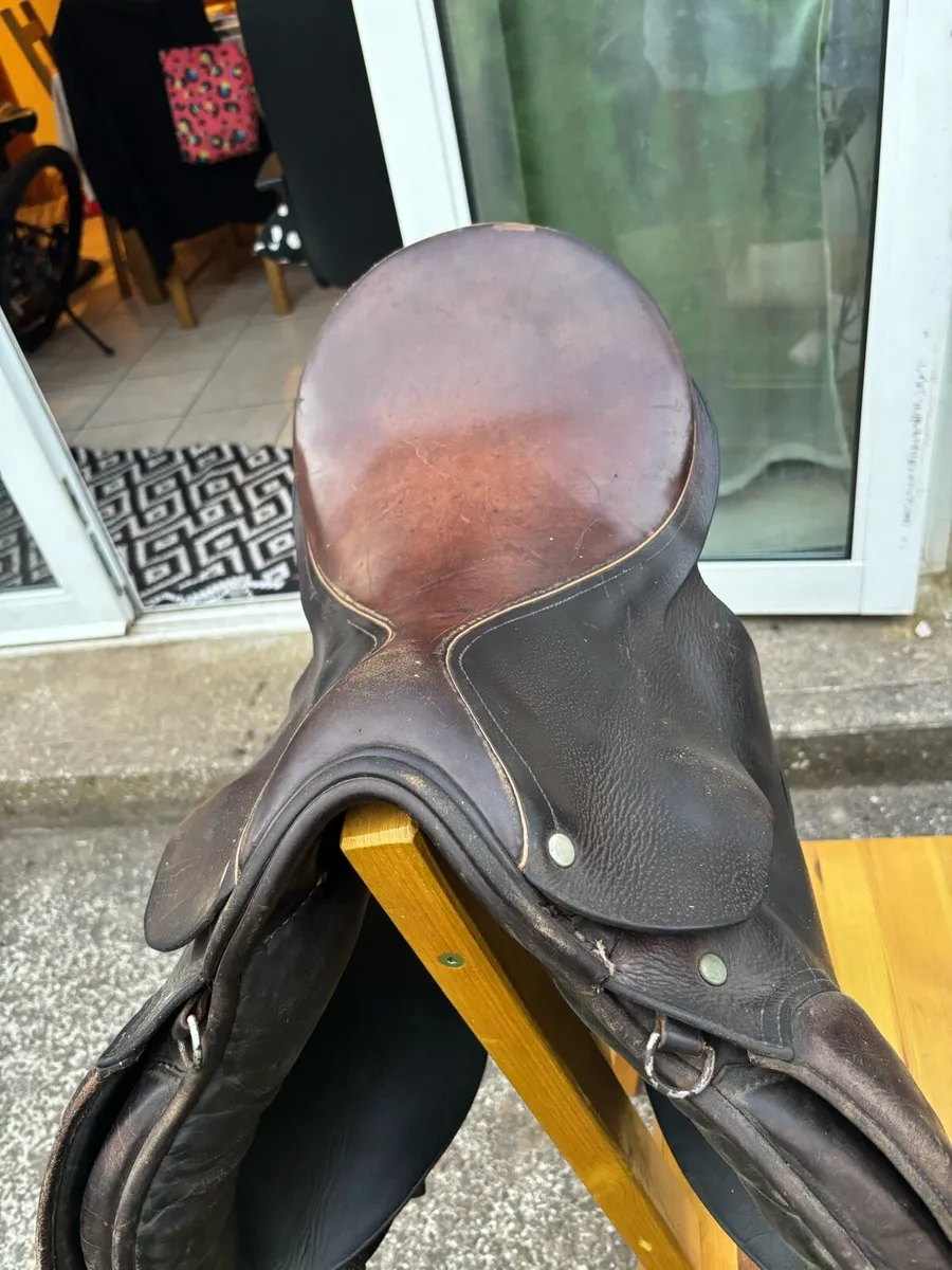 Saddle - Image 2