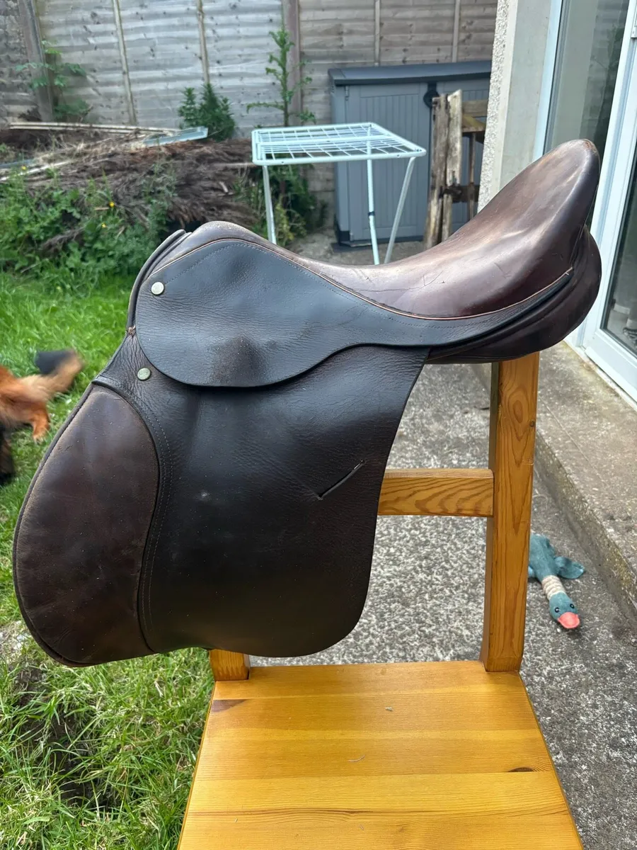 Saddle - Image 3