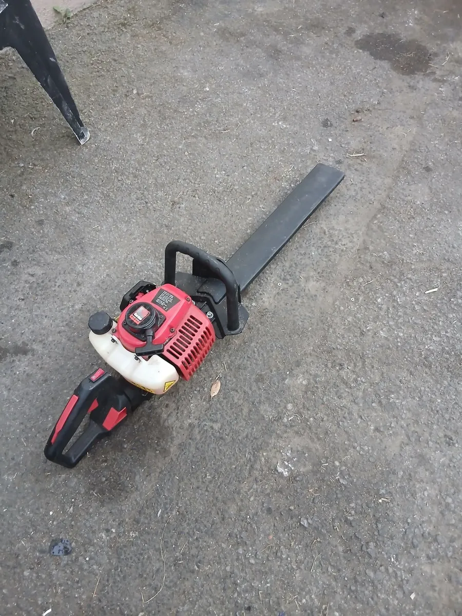 Hedge strummers running like new priced - Image 2