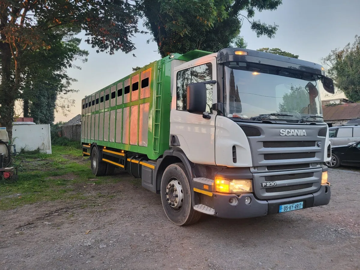 Scania cattle truck - Image 1