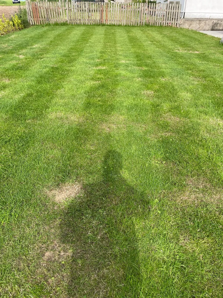 Cylinder mower - Image 2