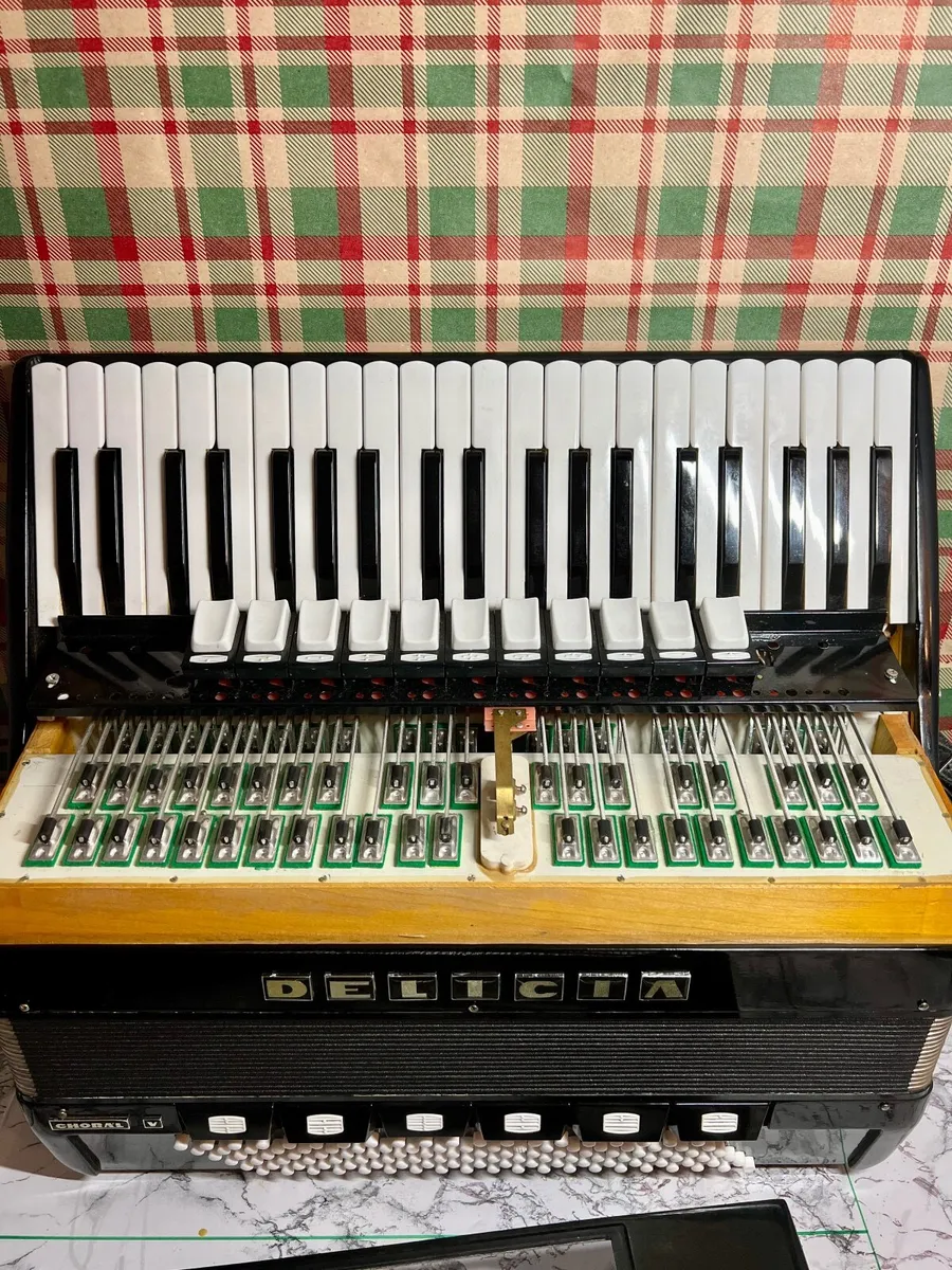 Piano Accordion Delicia Cassotto - Image 4
