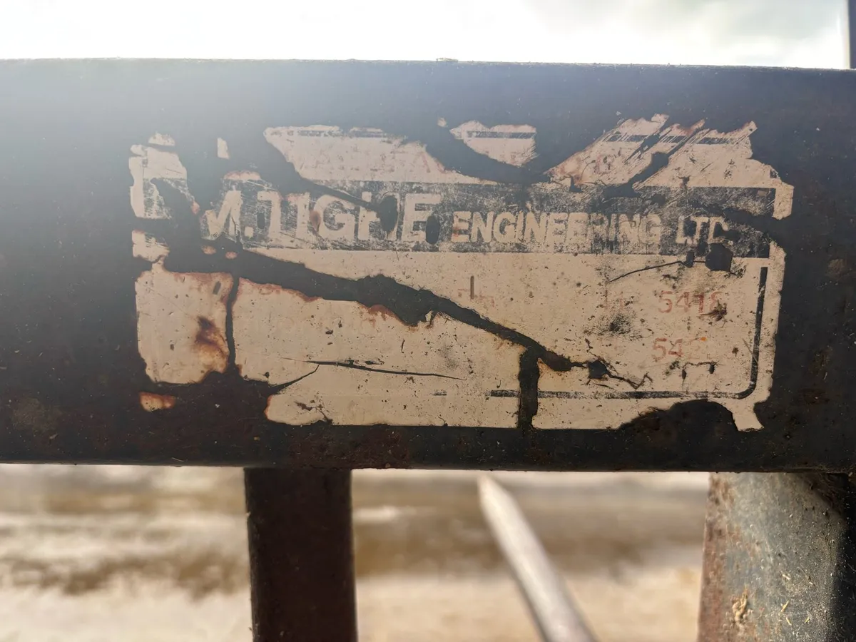 9ft Tighe Dung fork - Image 2