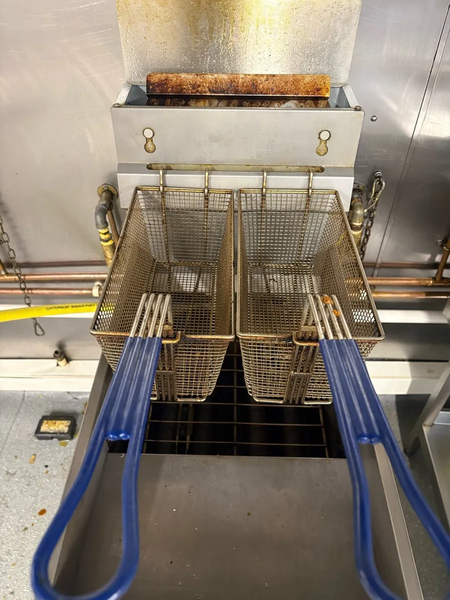 Fryer - Image 3