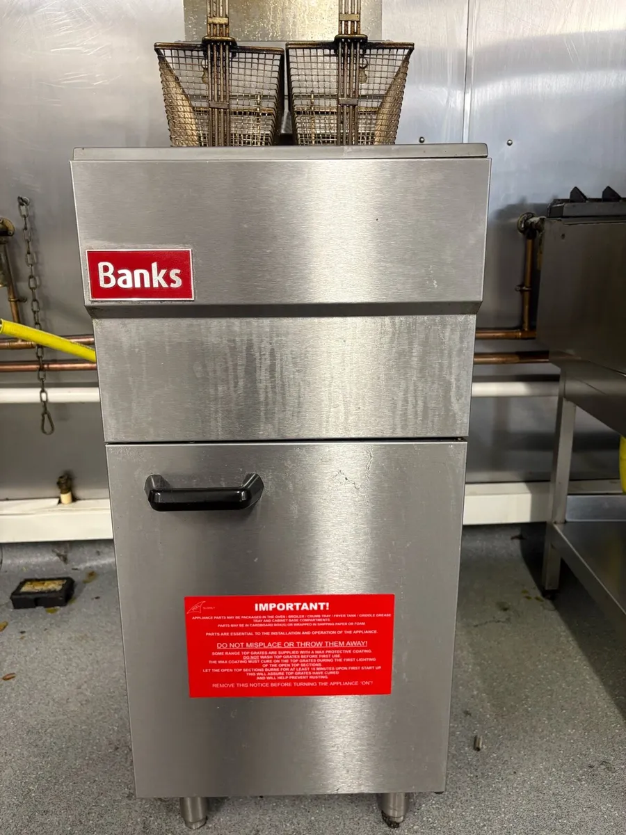 Fryer - Image 1