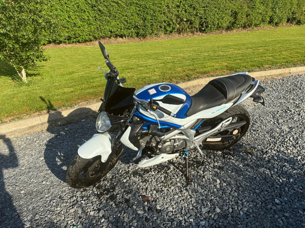 Suzuki Gladius 650 - Image 2