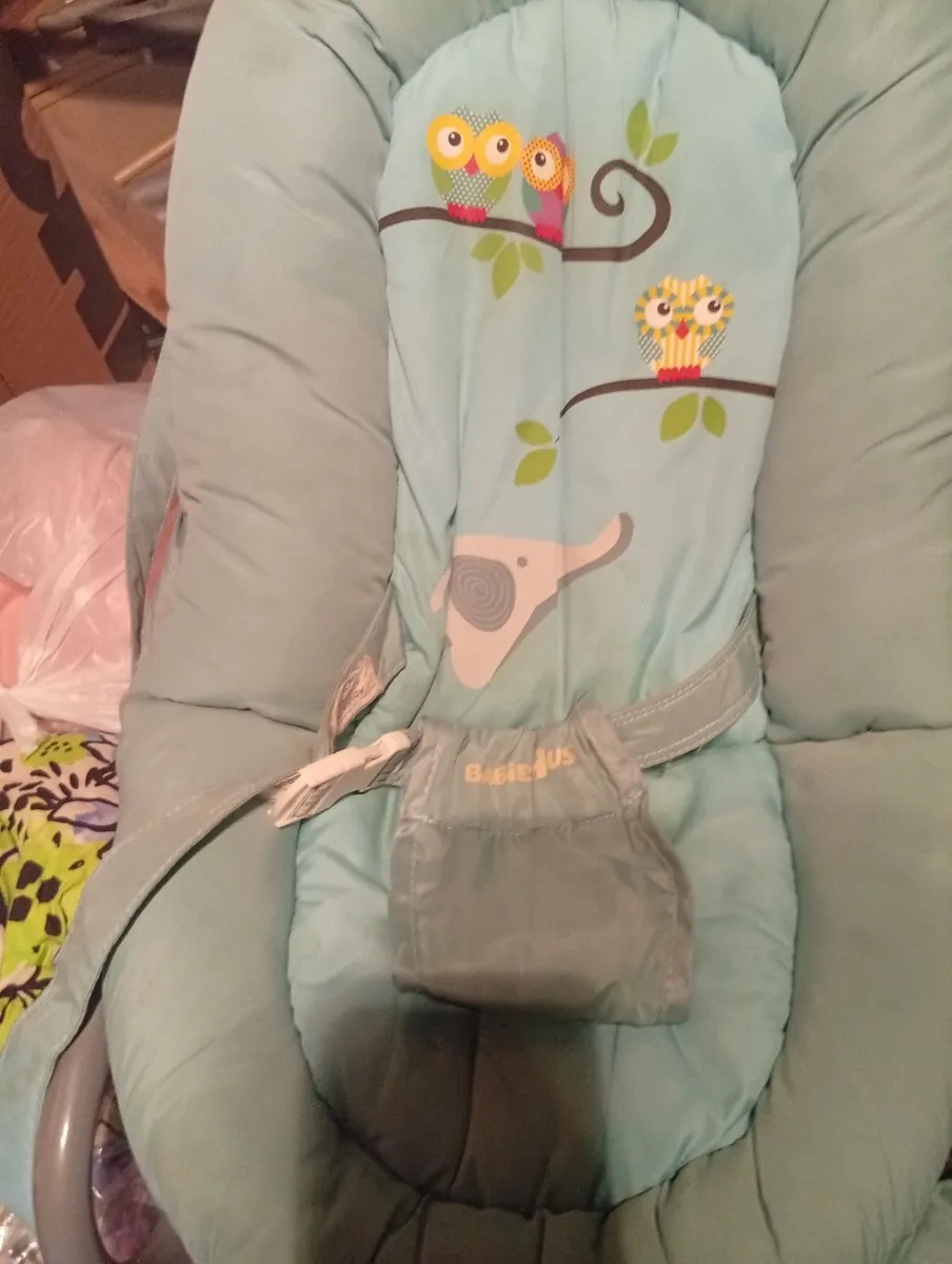 Baby bouncer