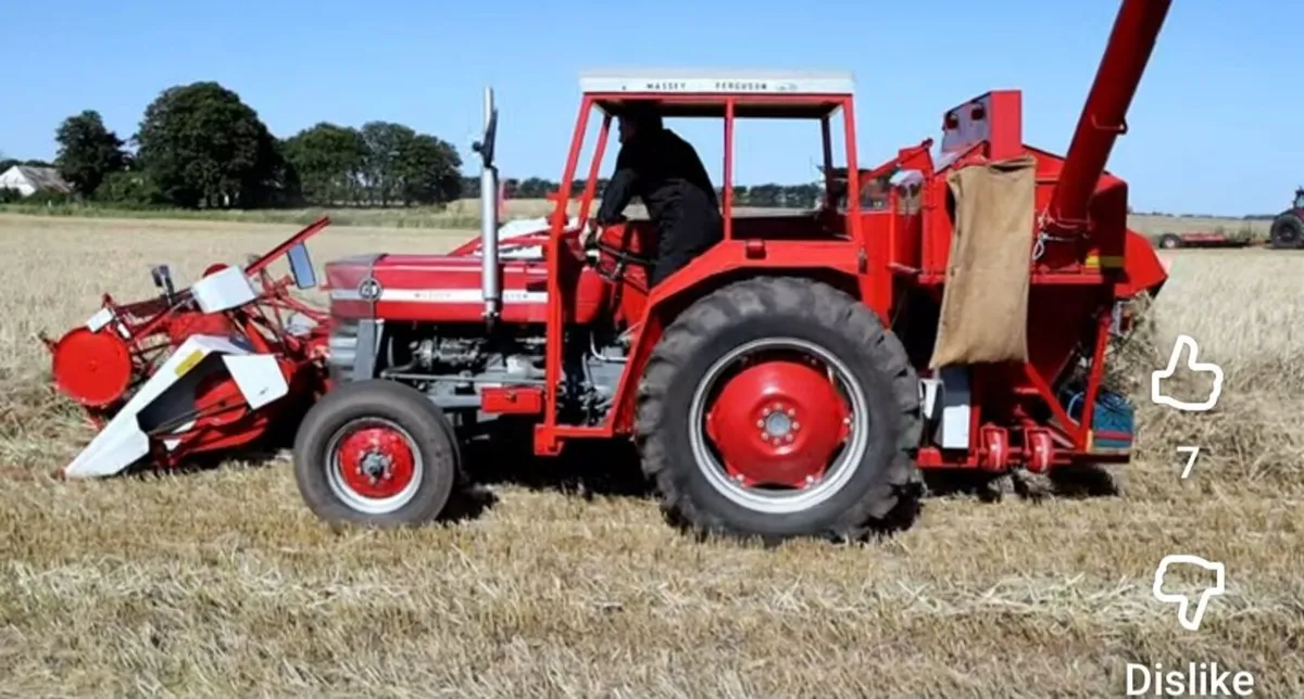 Massey ferguson 135/ JF ms70 combine - Image 3