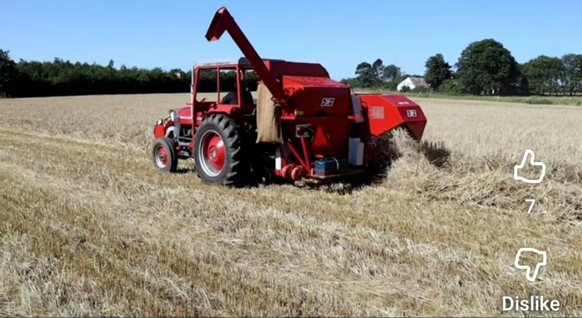 Massey ferguson 135/ JF ms70 combine - Image 4