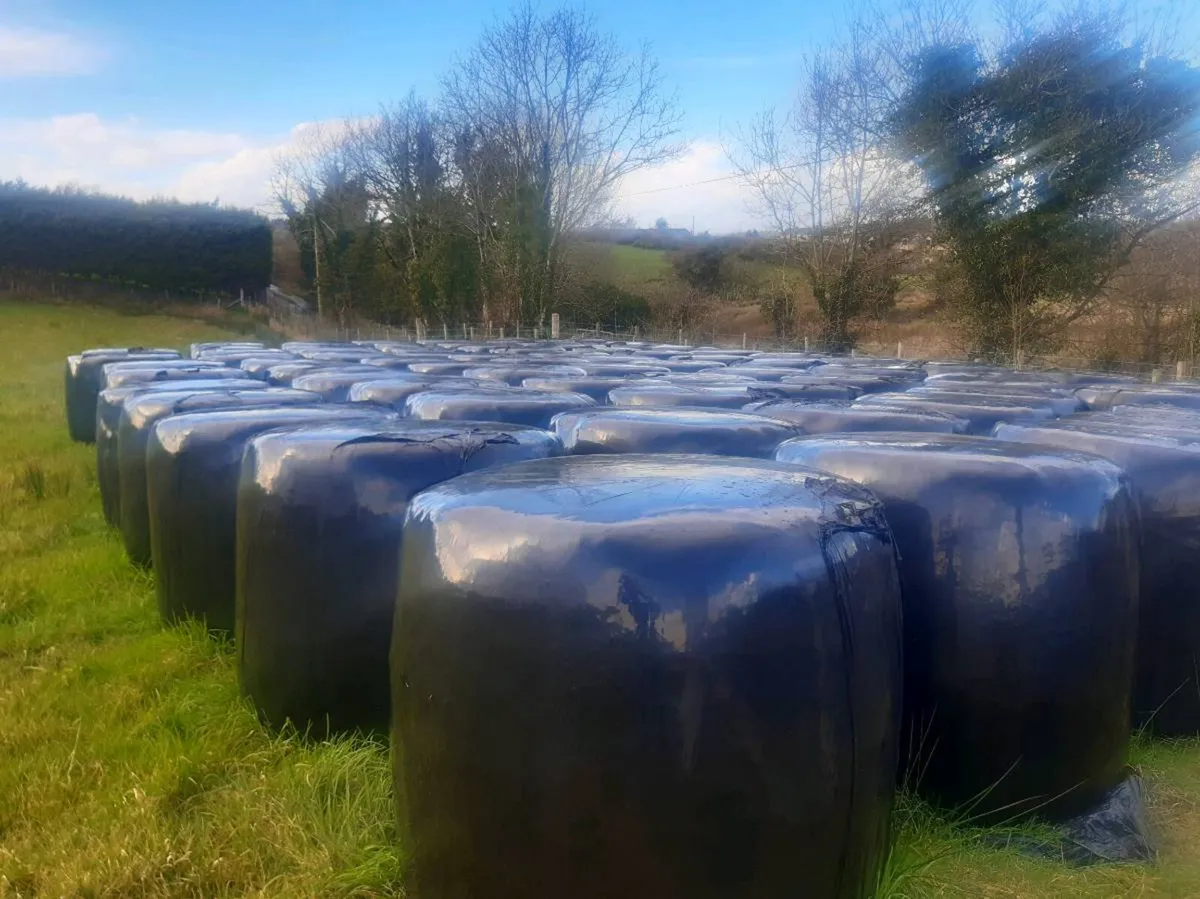 Silage bales