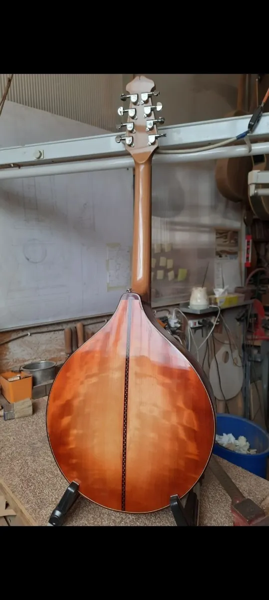 Handmade octave mandolin - Image 2
