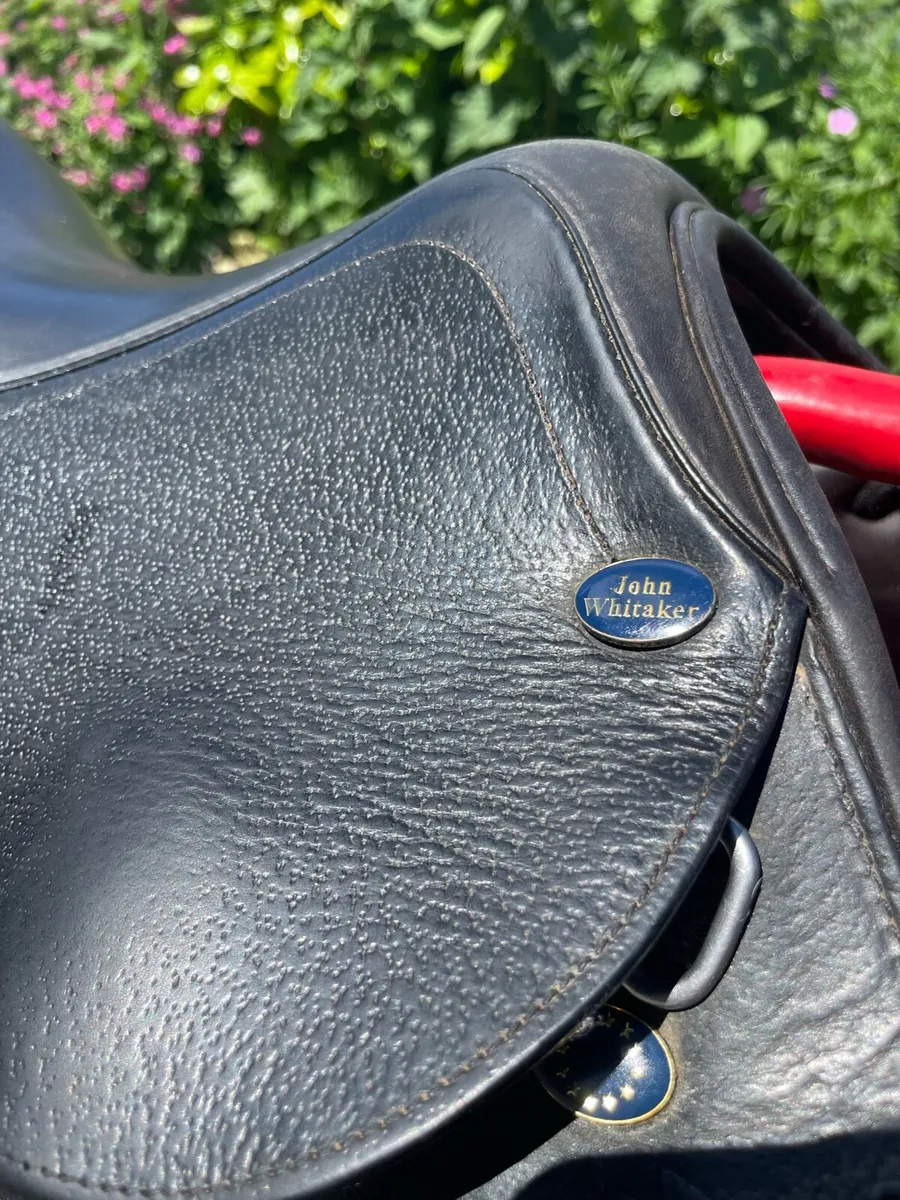 Michael Whitaker Saddle - Image 3