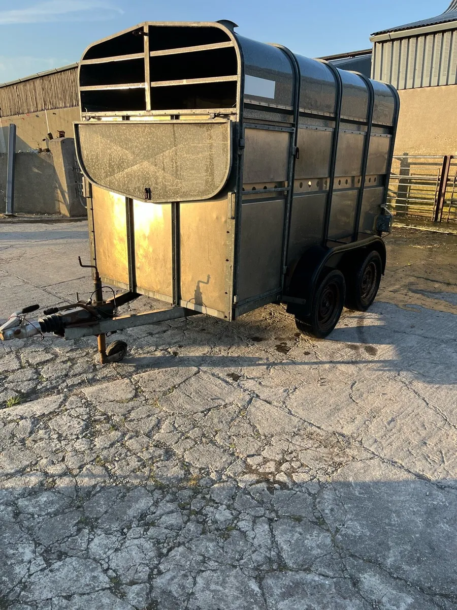 O’Haire 8x 4’6 Trailer - Image 4