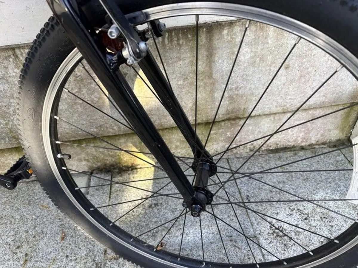 Trek Road Bike 26 inch teens - Image 3