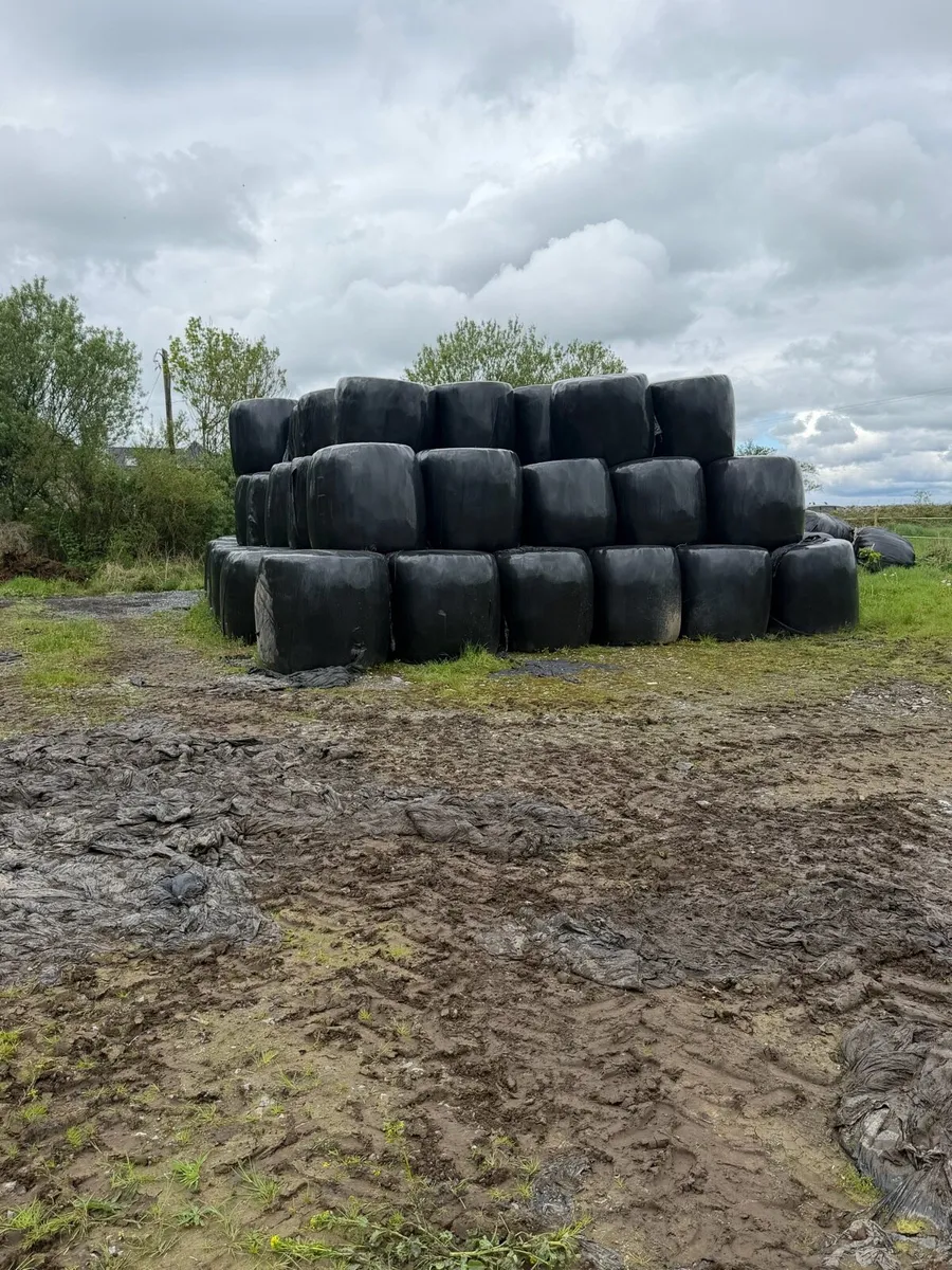 Silage/Haylage - Image 2