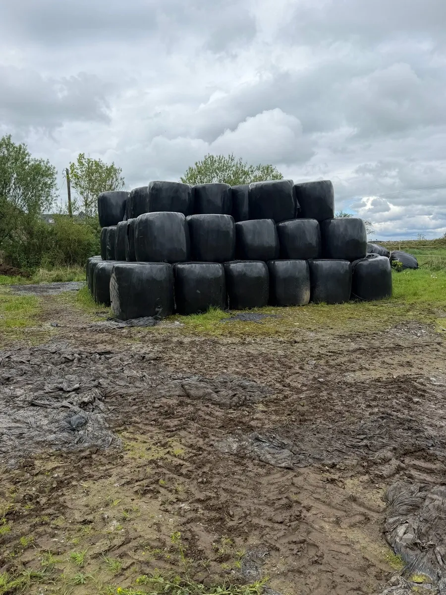 Silage/Haylage - Image 1