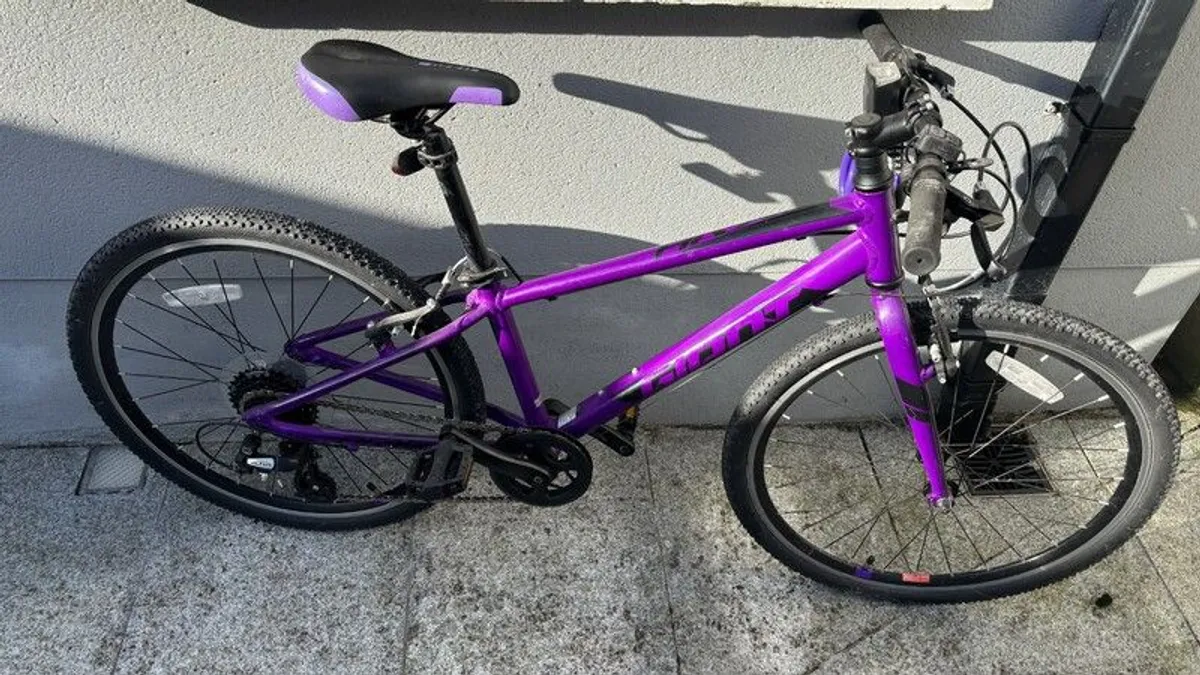 Giant 24' Kids Bike - Image 1