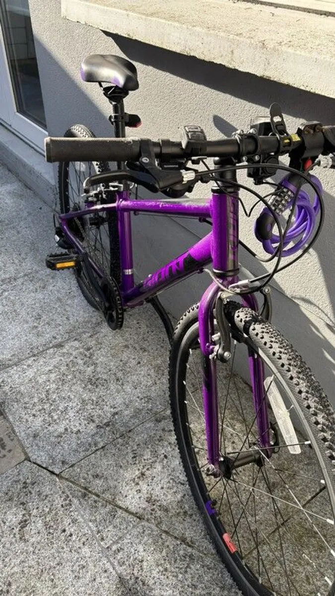 Giant 24' Kids Bike - Image 3