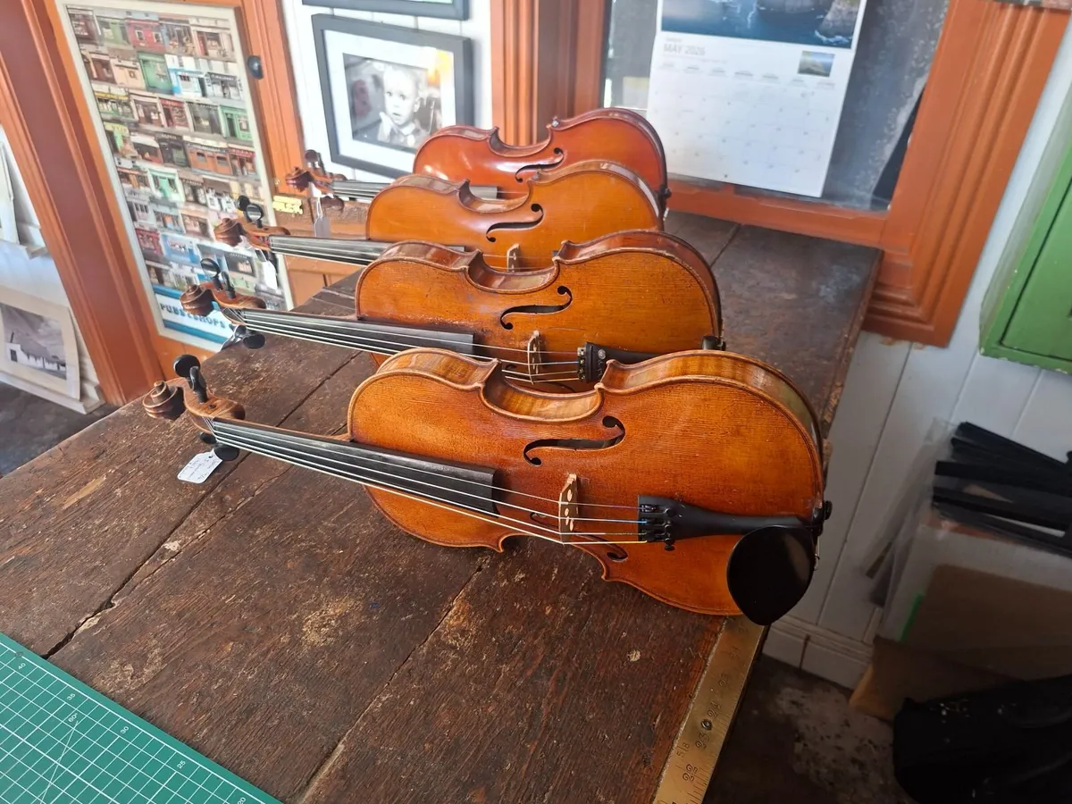 Violins - Image 1