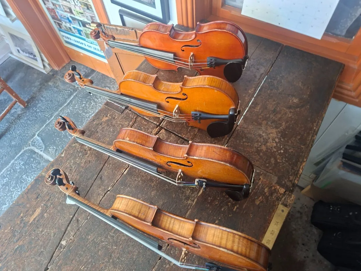 Violins - Image 2