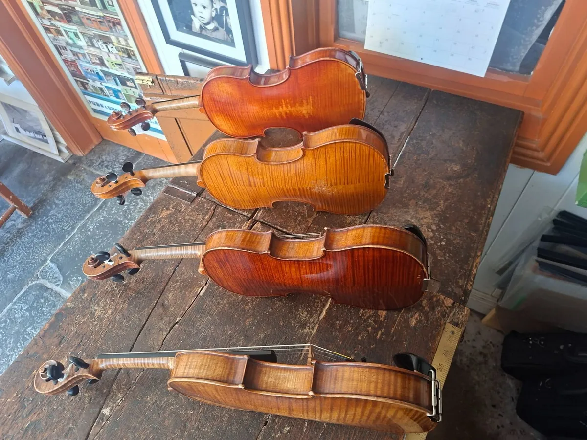 Violins - Image 4