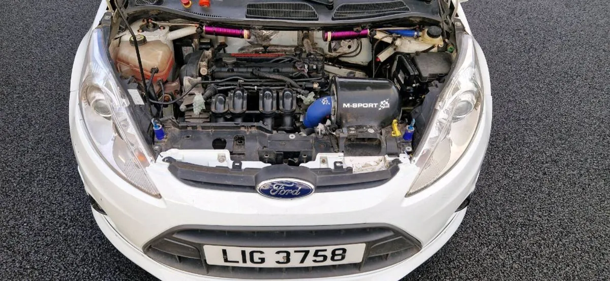 FIESTA R2 - Image 2