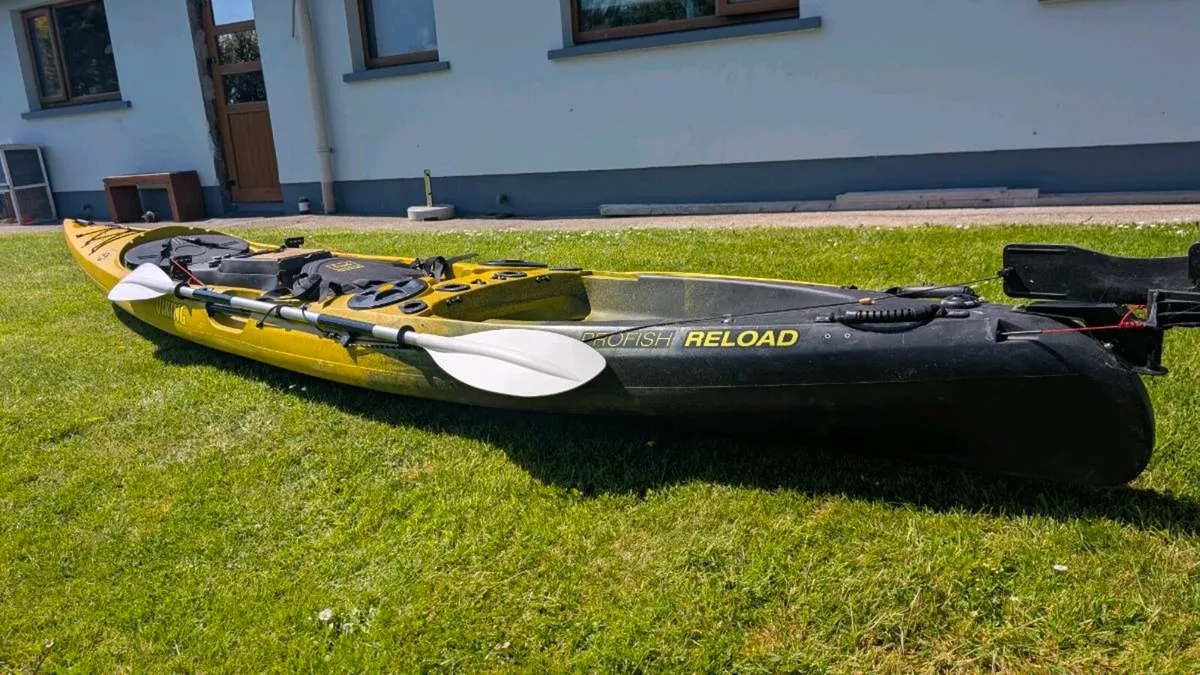 Viking profish reload - Image 3