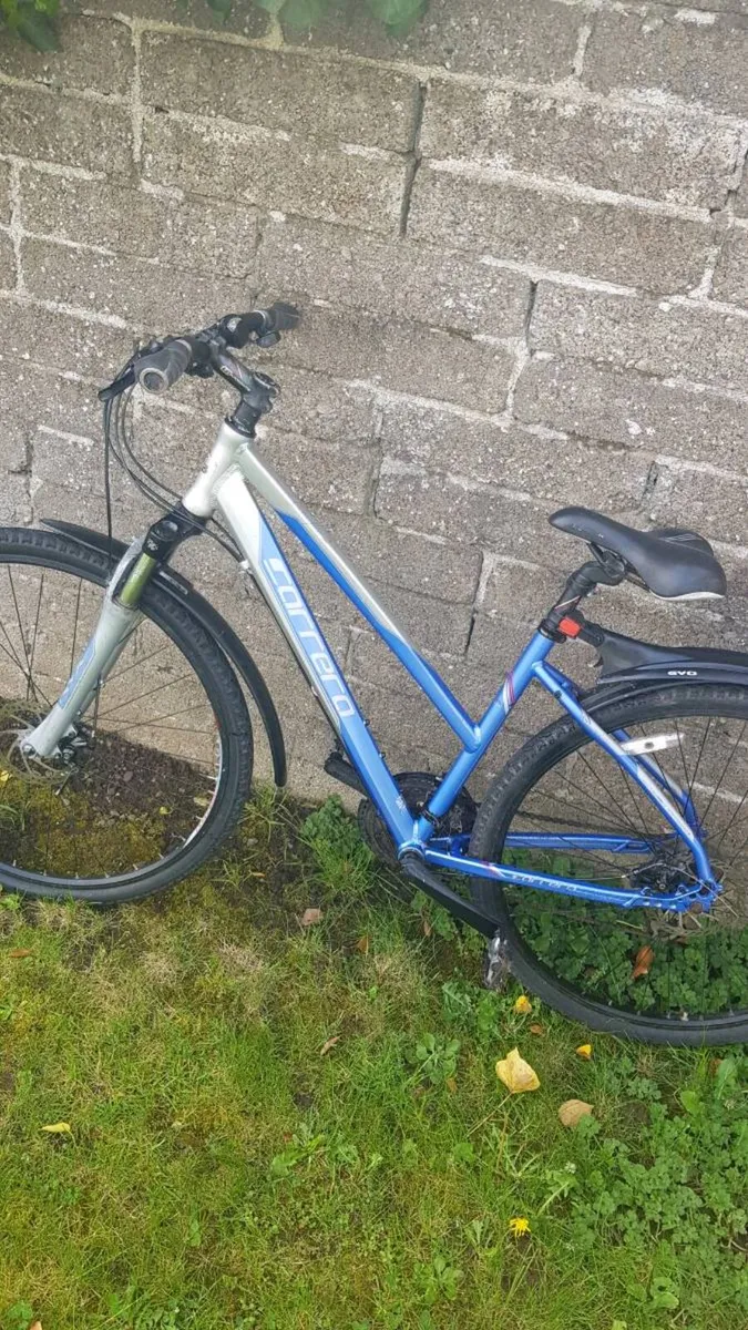 Bike - Image 1