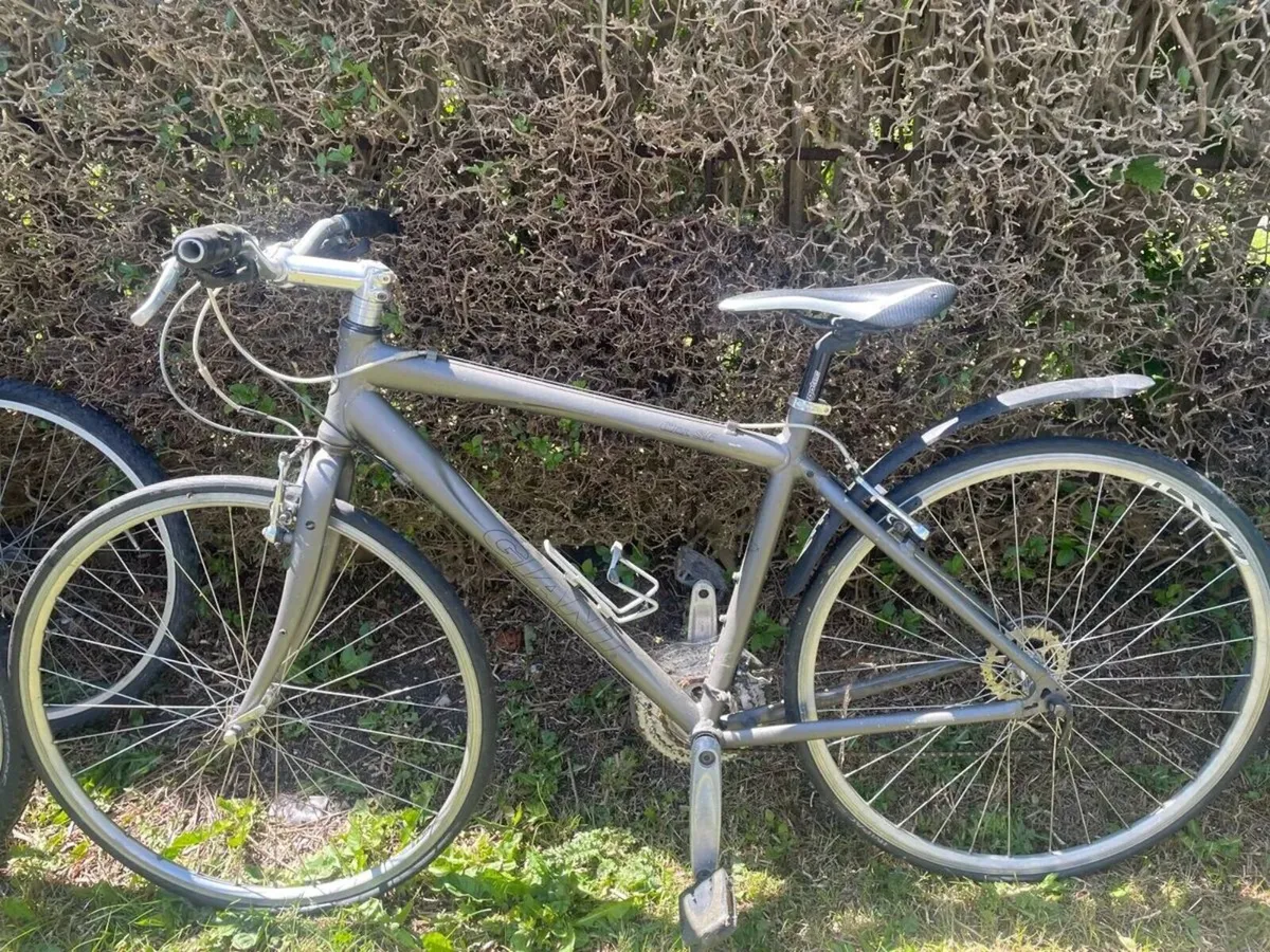 Mens Bike