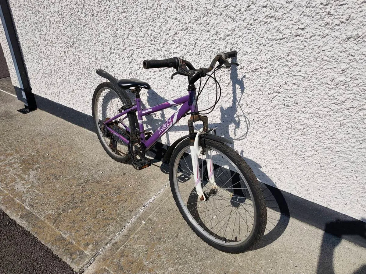 Bicycle - Image 2