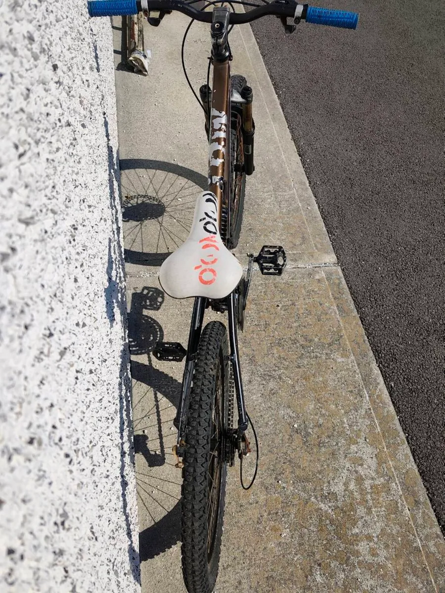 Bicycle - Image 4