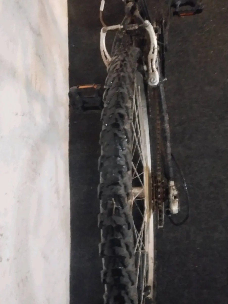 24inch bike - Image 4