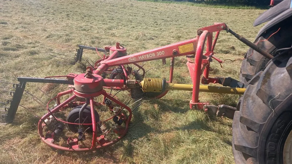 Kverneland 300 Haybob - Image 1