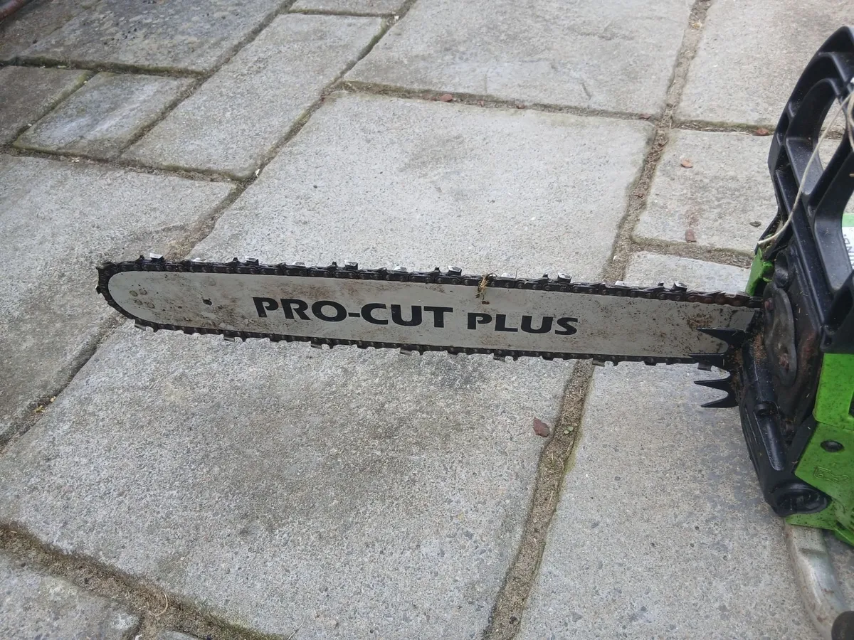 Chainsaw - Image 4
