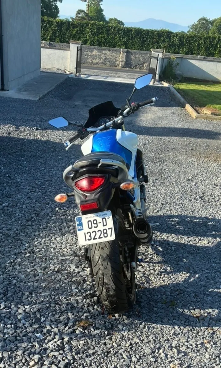 Suzuki Gladius 650 - Image 4