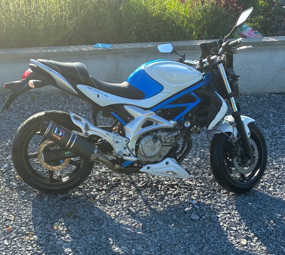 Suzuki Gladius 650 - Image 1