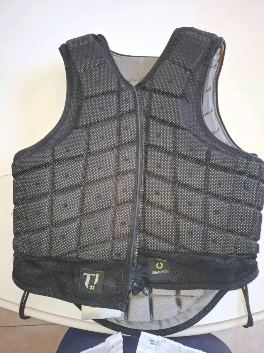 Body Protector - Image 1