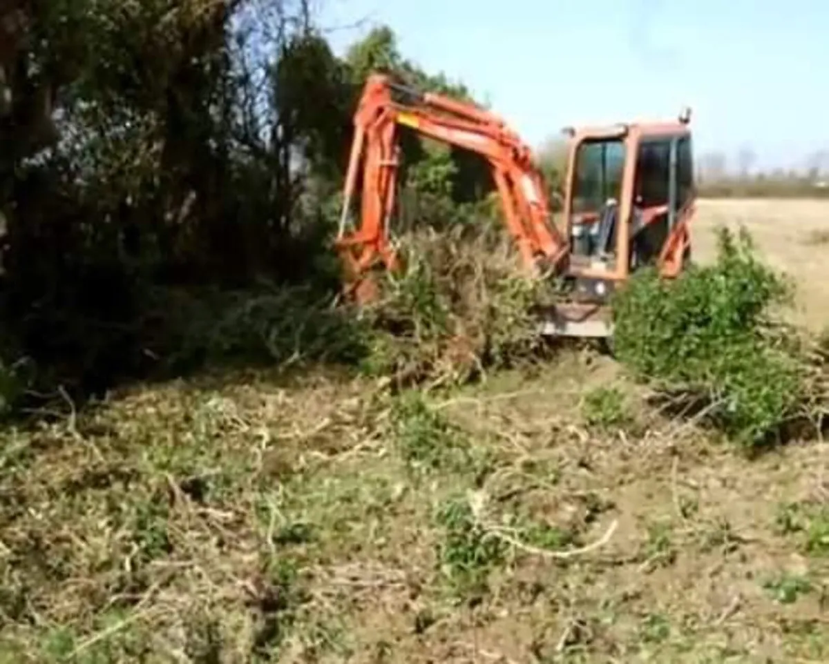 Free Tree Felling & Removal - Image 4