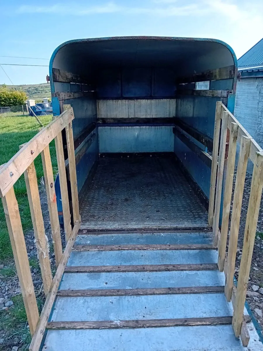 Cow trailer - Image 3