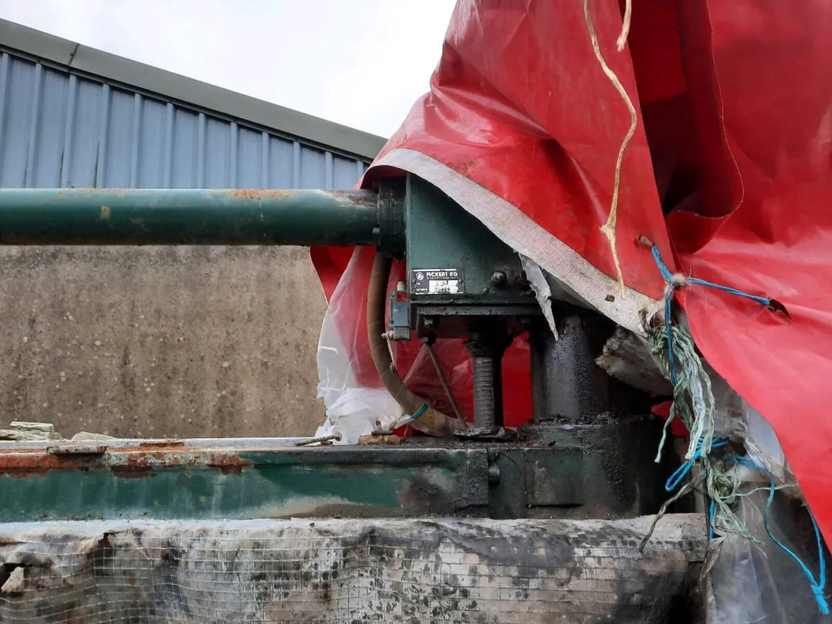 Stone saw - Image 3