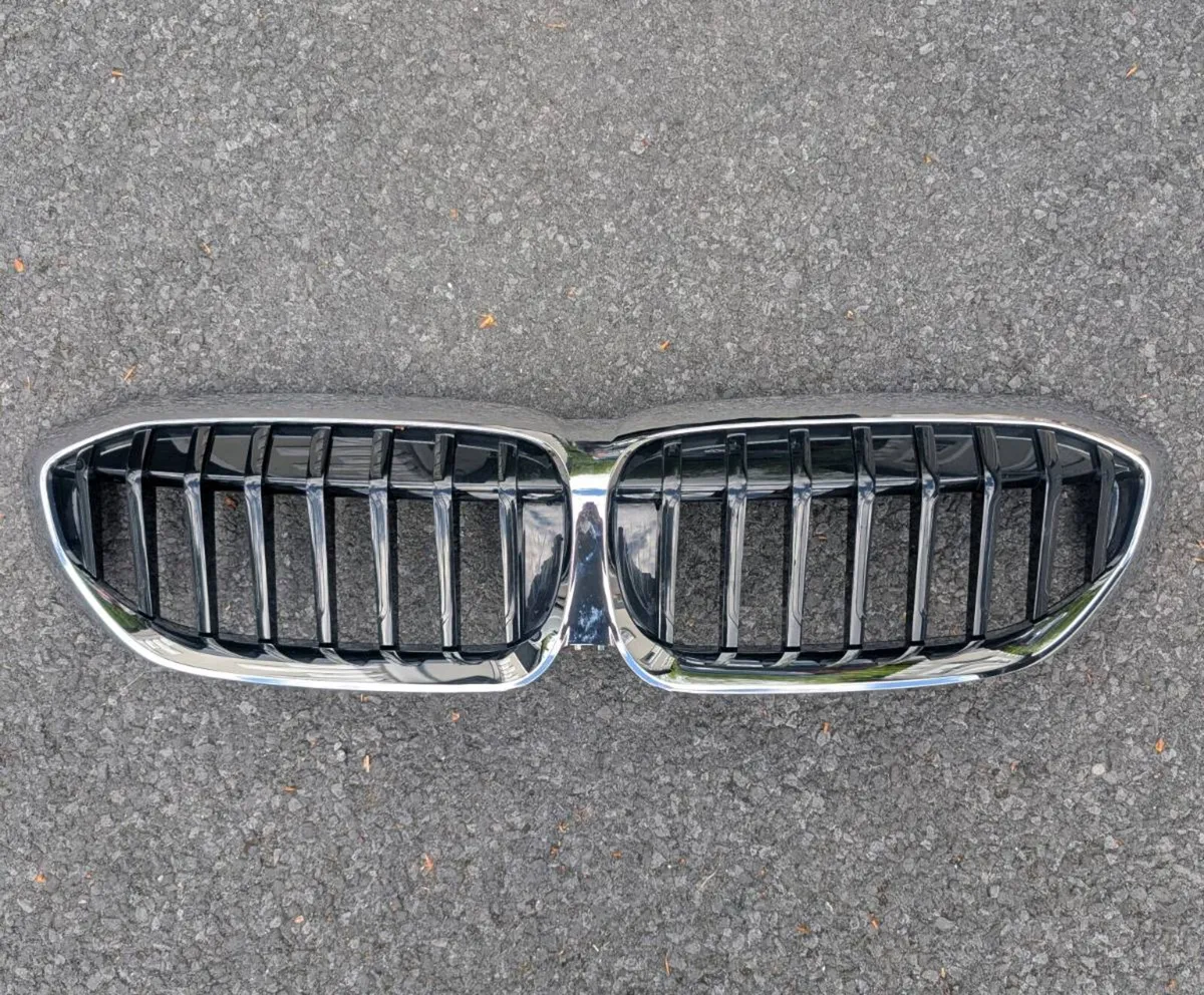 BMW Grills - Image 1