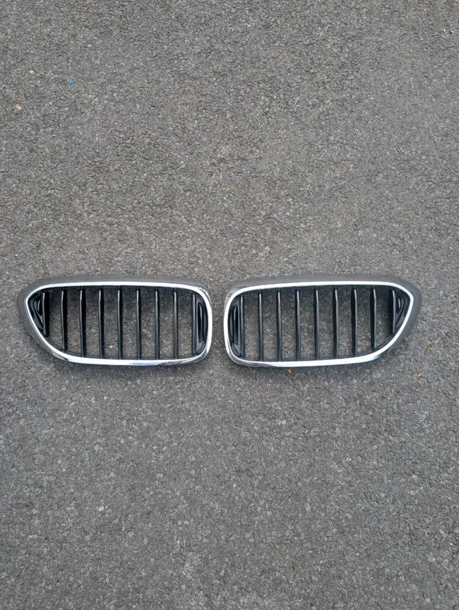BMW Grills - Image 2