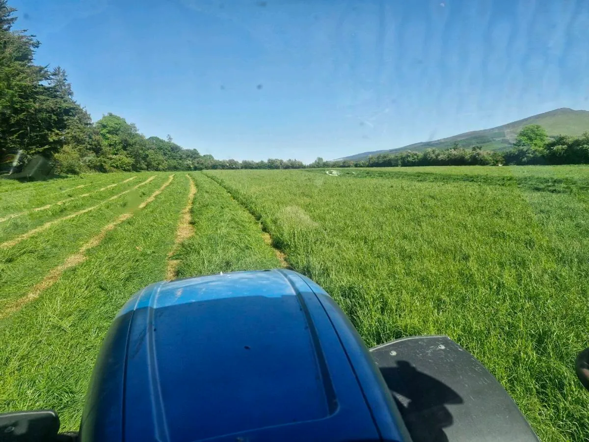 Silage bales - Image 2